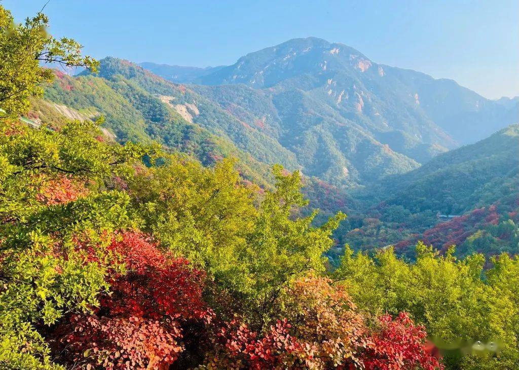 神灵寨是国家4a级景区,位于洛宁县东南的涧口乡,距离城区十余公里