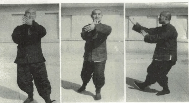 练太极的一生所悟:功夫在平生_原理_身体_本能