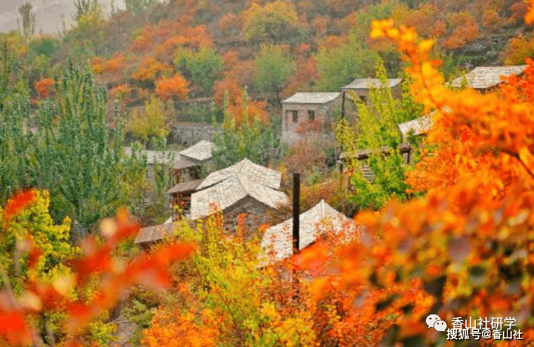 “红叶传情坡峰岭 绿水幽岚黄山店”-房山红背篓教育基地|坡峰岭赏秋团建活动