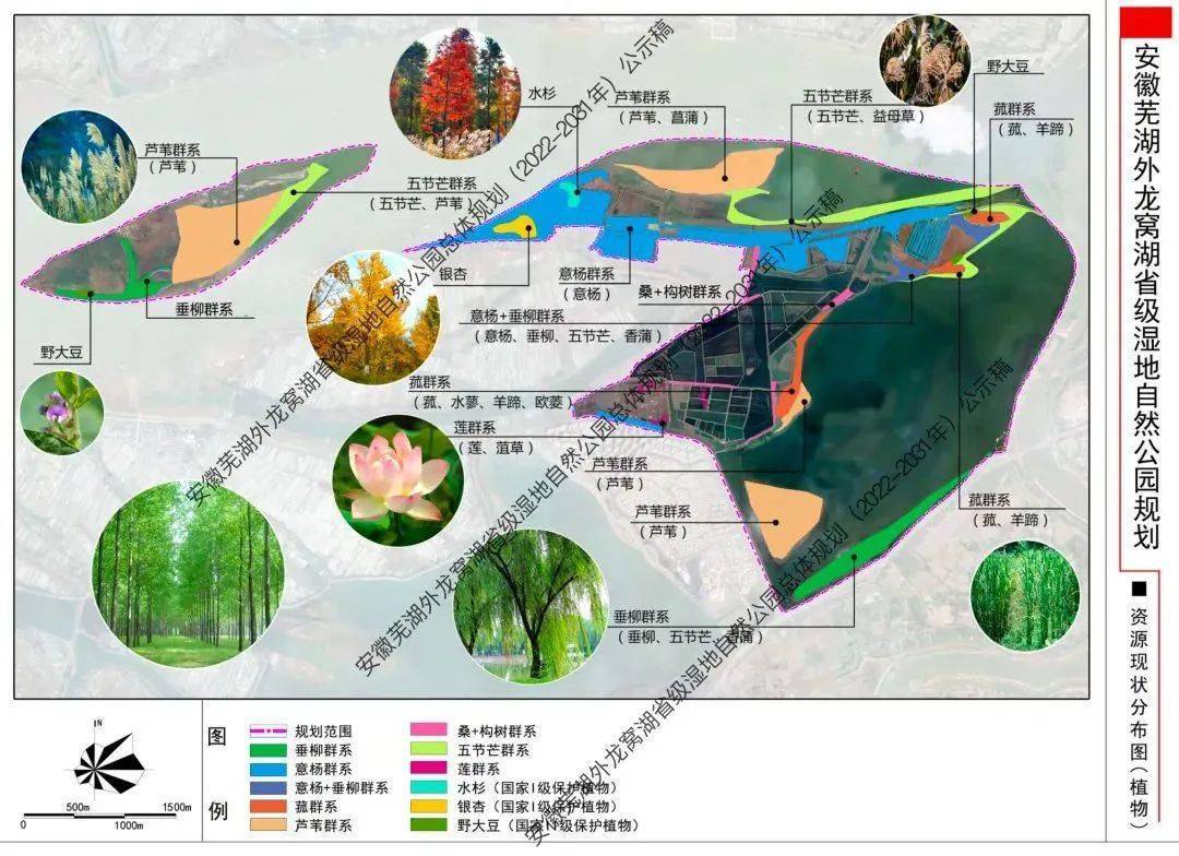 芜湖将新建1处省级湿地公园,就在这里!_外龙_保护_建设
