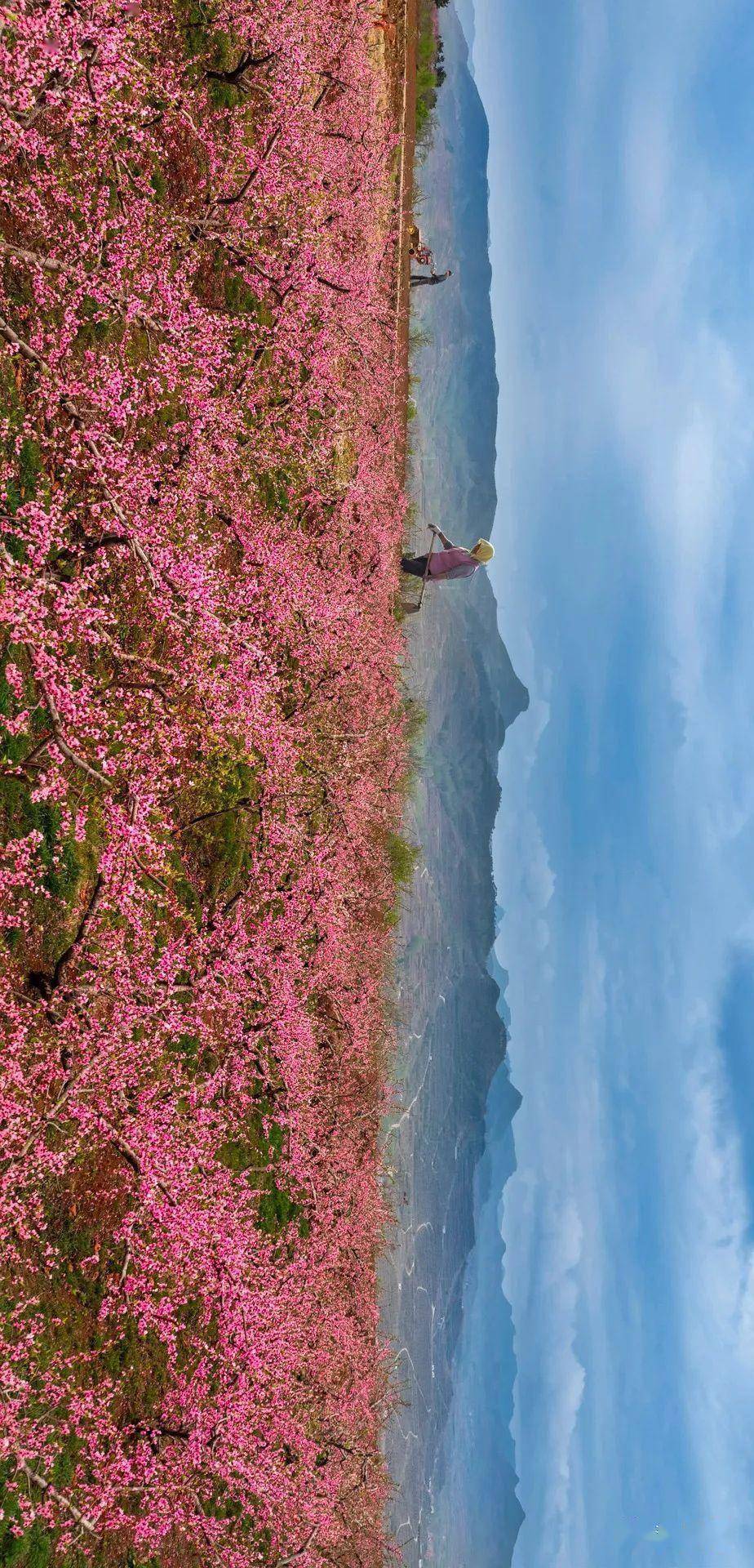 王洪武《瑞雪丰年》闻见《桃花山庄》杨高田《桃乡》常东文《毓秀泉庄
