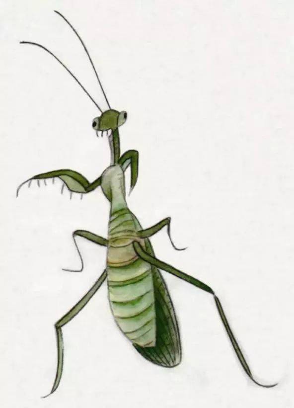 国画基础|工笔螳螂与工笔蝴蝶的画法步骤_翅膀_花青_颈部