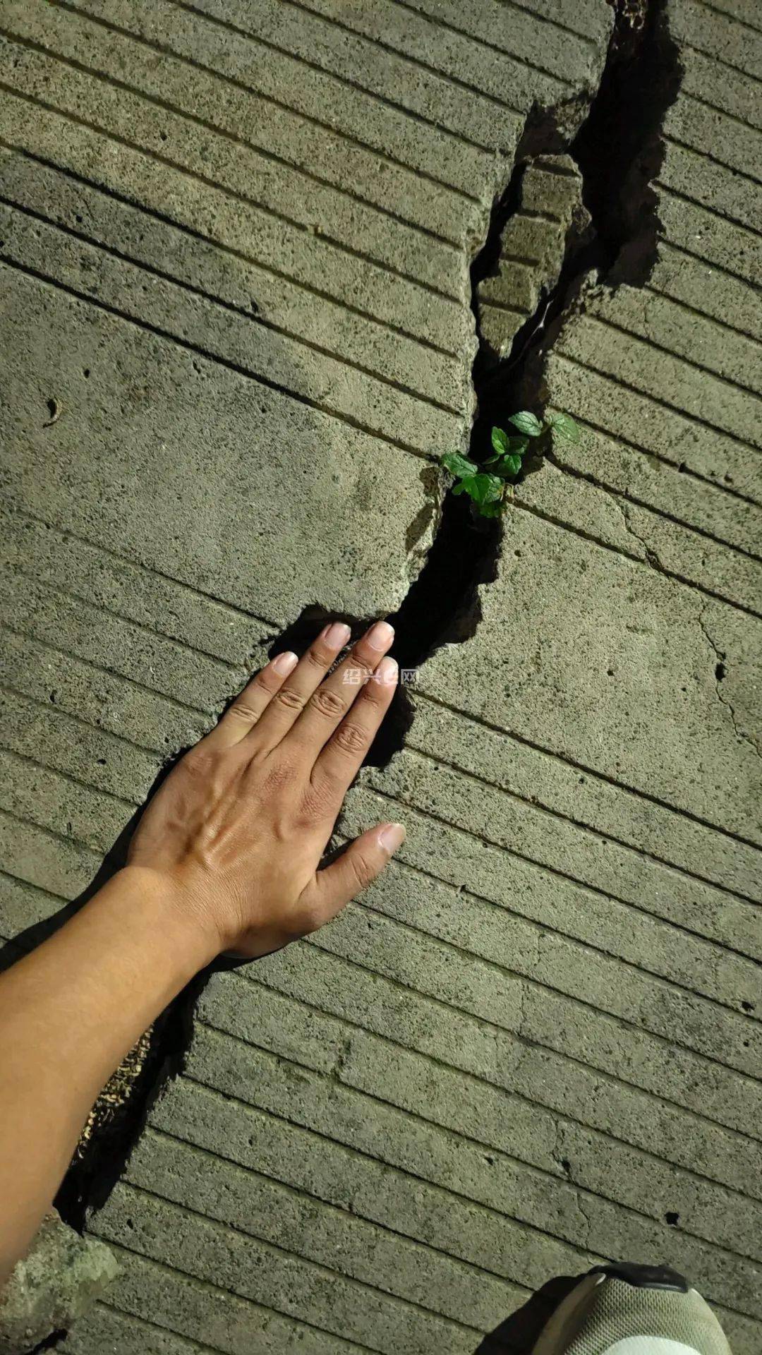 绍兴某小区出现约手掌宽的裂缝!官方回复!_管理_社区_柯岩街道