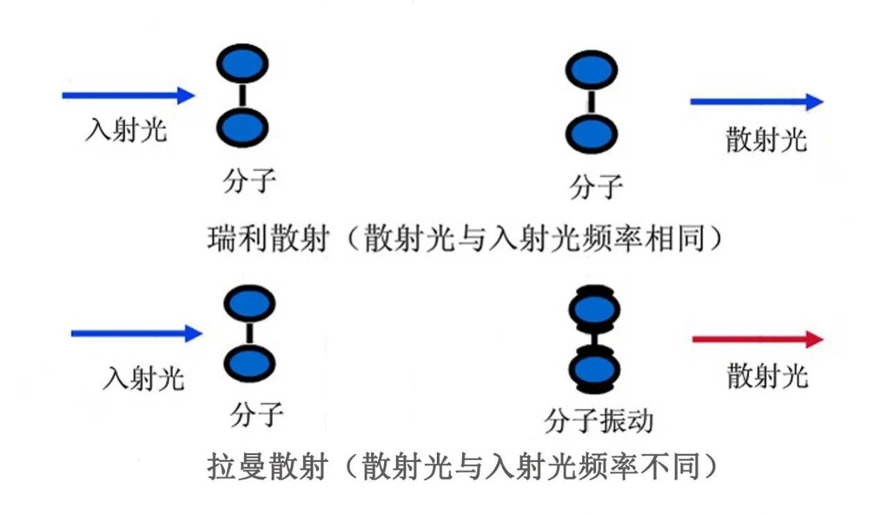 拉曼光谱能分析什么_分子_散射光_振动