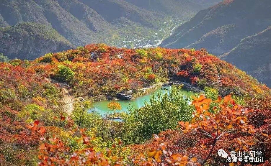 “红叶传情坡峰岭 绿水幽岚黄山店”-房山红背篓教育基地|坡峰岭赏秋团建活动