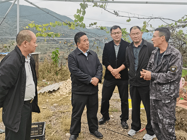 省计生协调研组到玉溪市调研计生协相关工作 项目 建设 文化