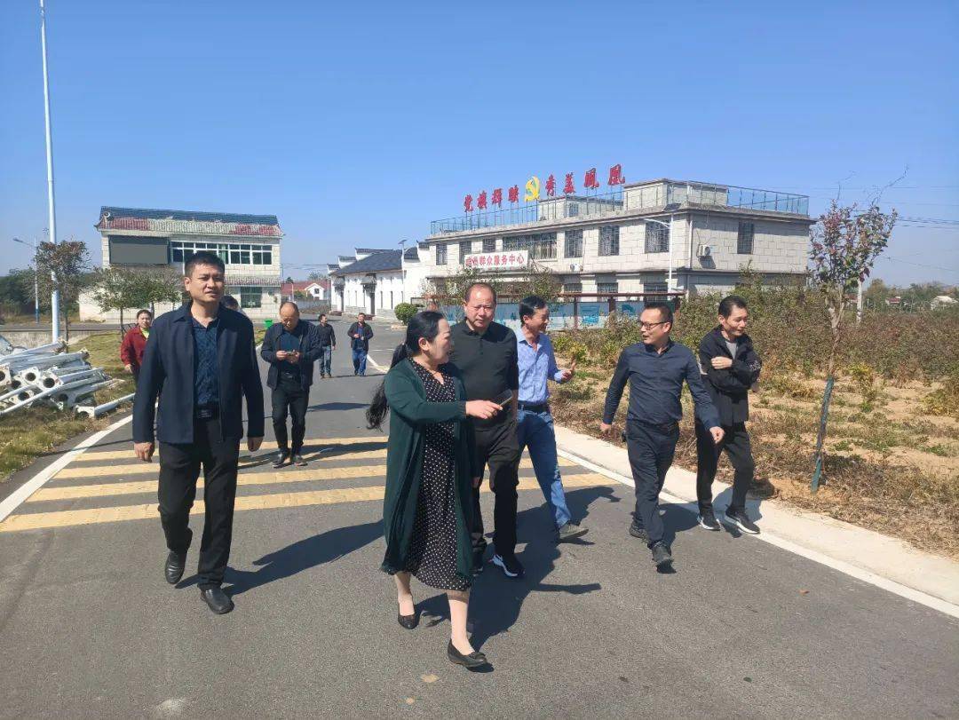 陈兴田,徐秋霞到彭思镇驻点村指导工作_凤凰村_陈桥村_标准化