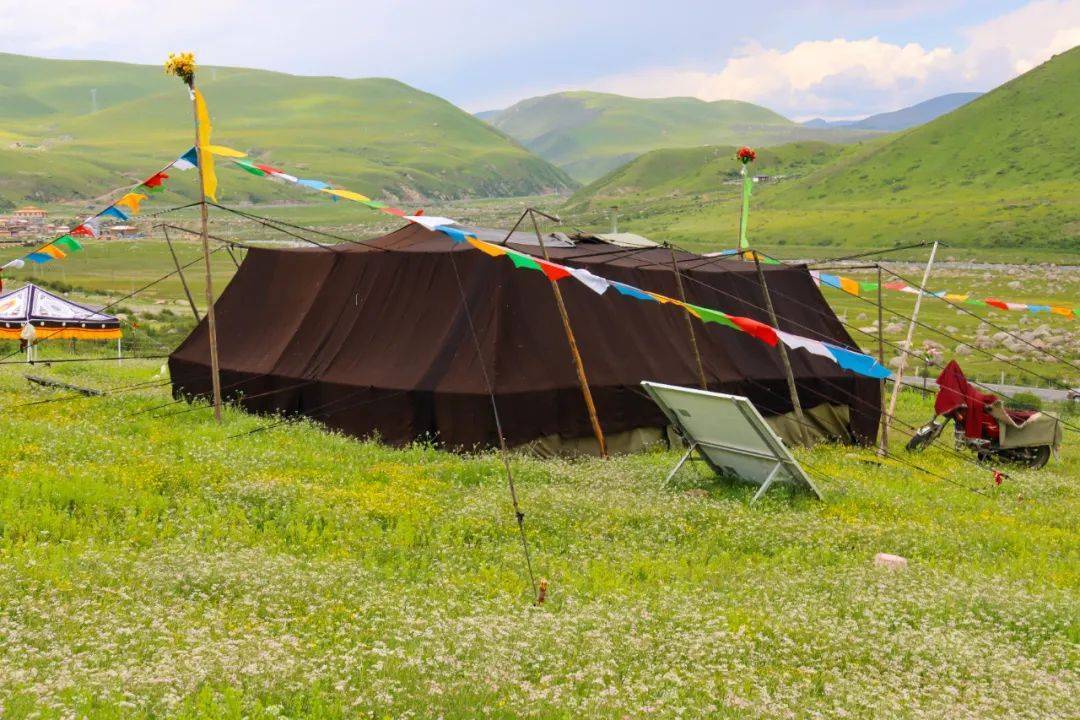 遇到一藏族姑娘,才23岁丈夫已去世,独自抚养4个孩子_姐姐_帐篷_零食