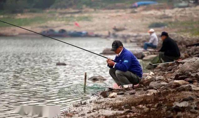 秋末初冬，若是你不喜好利用蚯蚓、红虫，那你无妨尝尝它