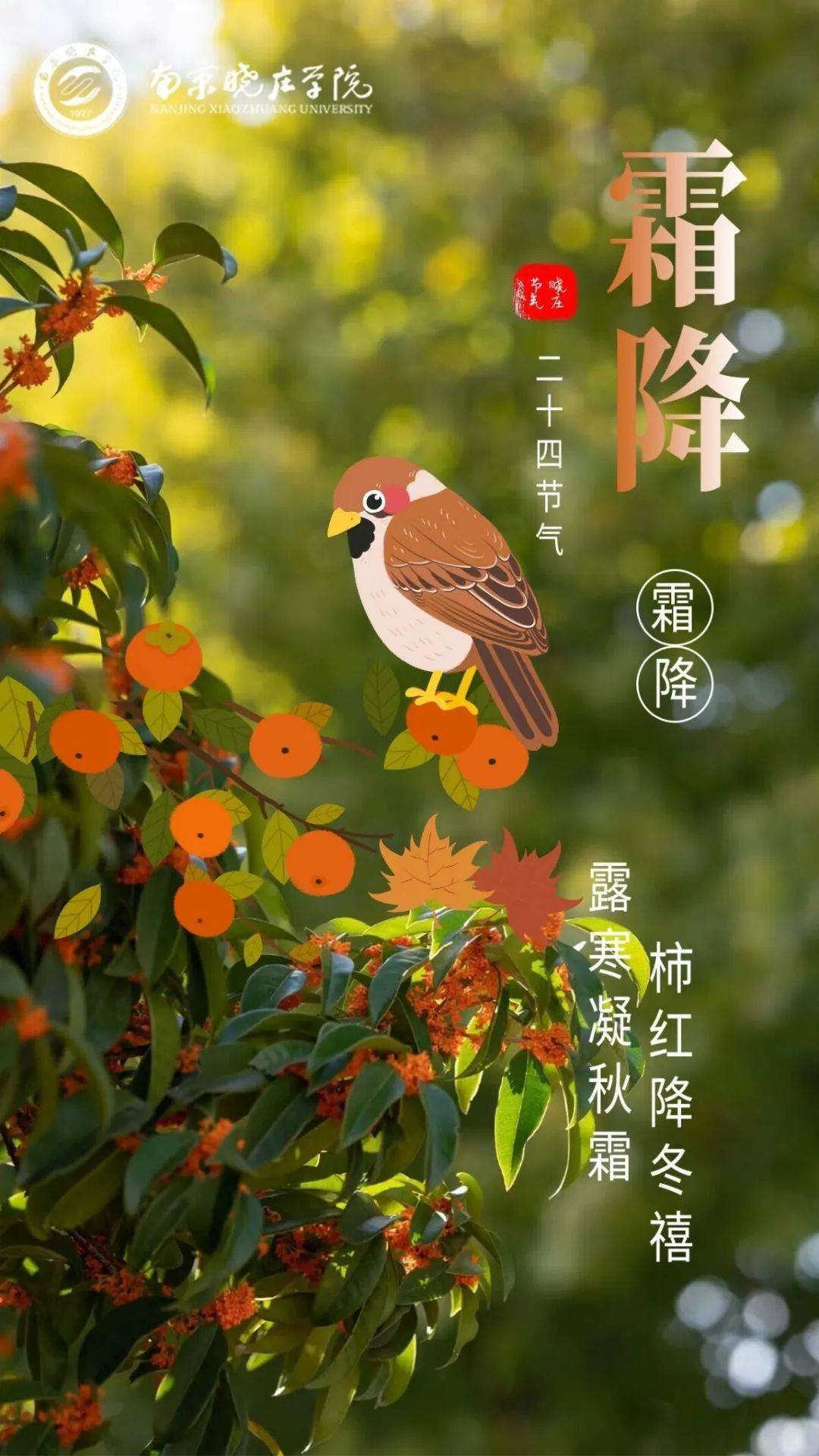 晓庄24节气·霜降_时节_昼夜_温差
