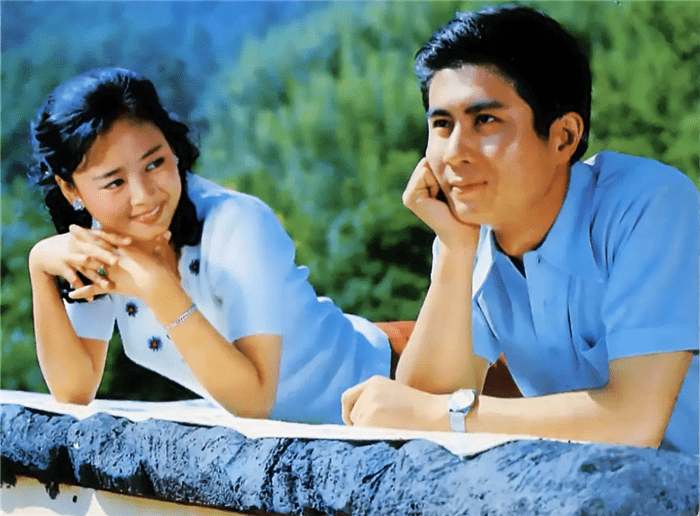 38年前的《岳家小将》:主角均是武林高手,女主角息影多年_王芝瑜_电影