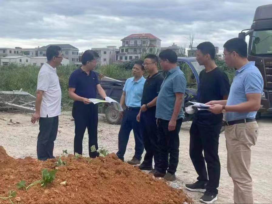 龙海区领导到榜山镇督导顶风违建图斑复垦整治工作_魏毅坤_日期_分类