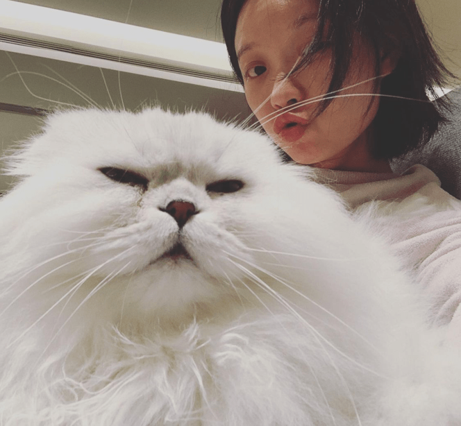 脸部出油眉毛浅略显憔悴,怀抱宠物猫噘嘴自拍_气质_女明星_知名度