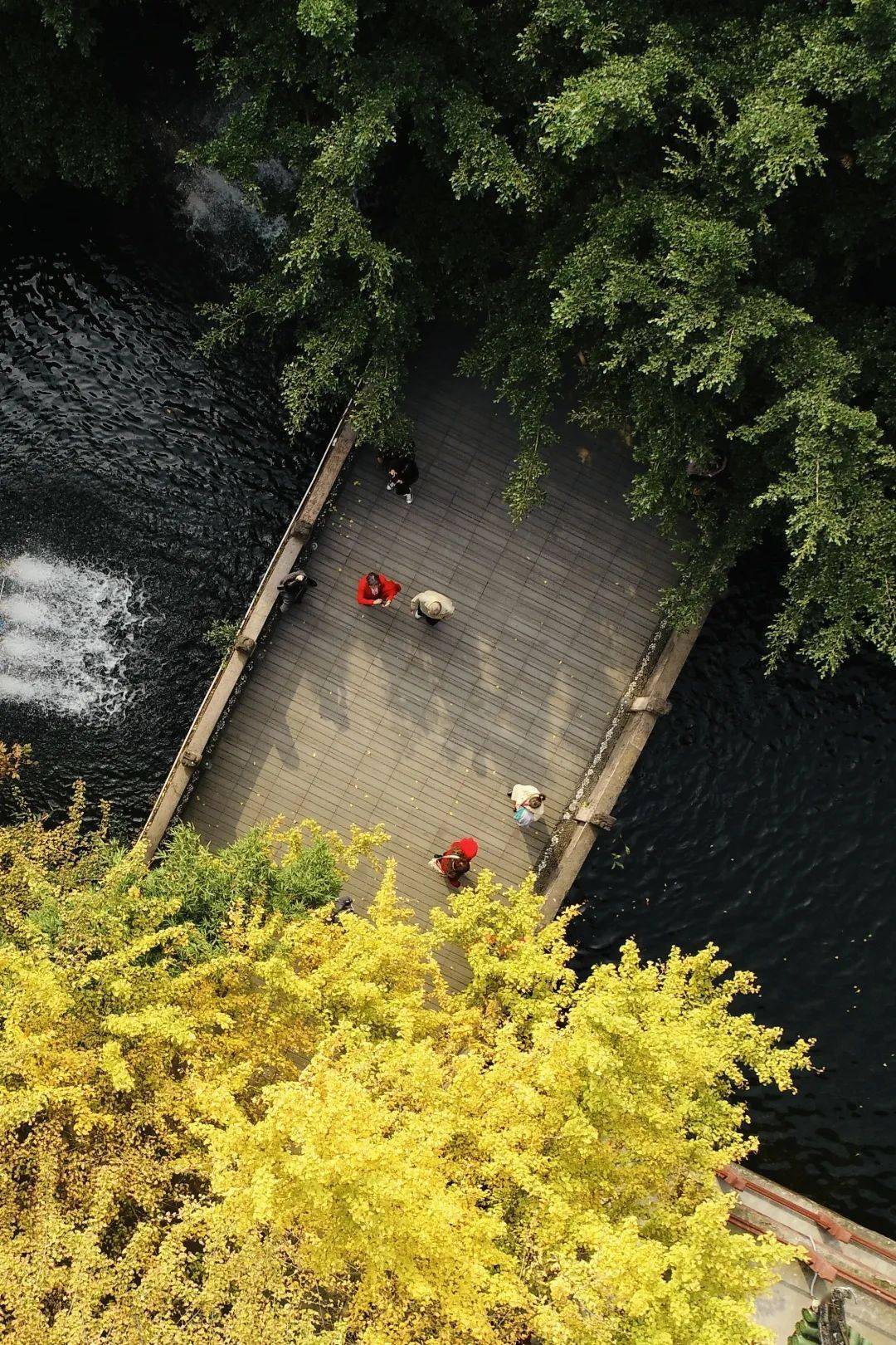 在双流这里 邂逅一场秋韵古色_馈赠_张伟_秋色