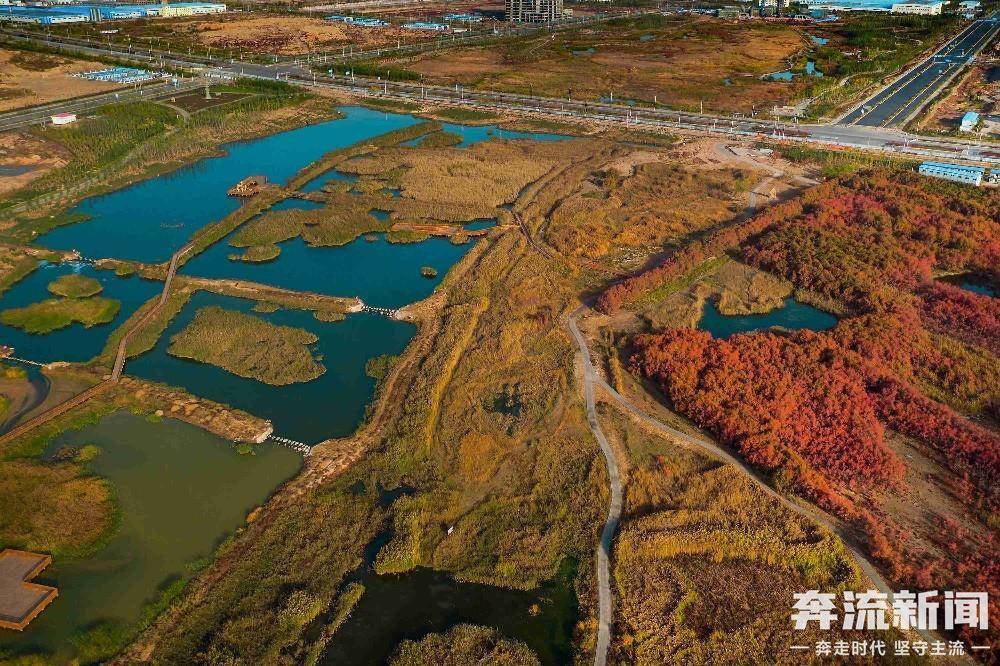 兰州新区秦王川国家湿地公园秋景美如画_周边_包括_游客
