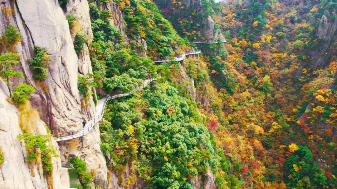 九华山花台迎来颜值巅峰