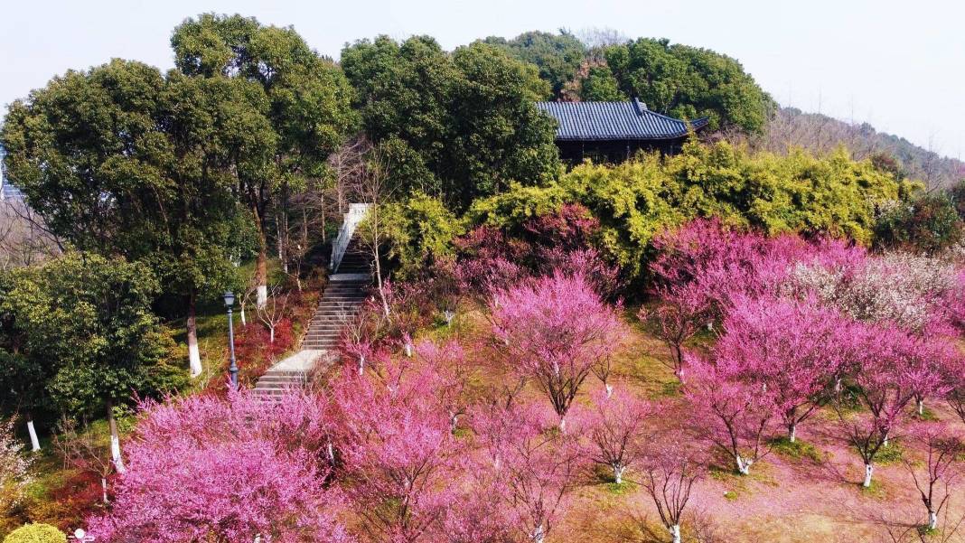 到了夜晚,走在公园主路上,慢哉闲逛闲聊着,依靠在亭柱上,悠哉听着姚剧