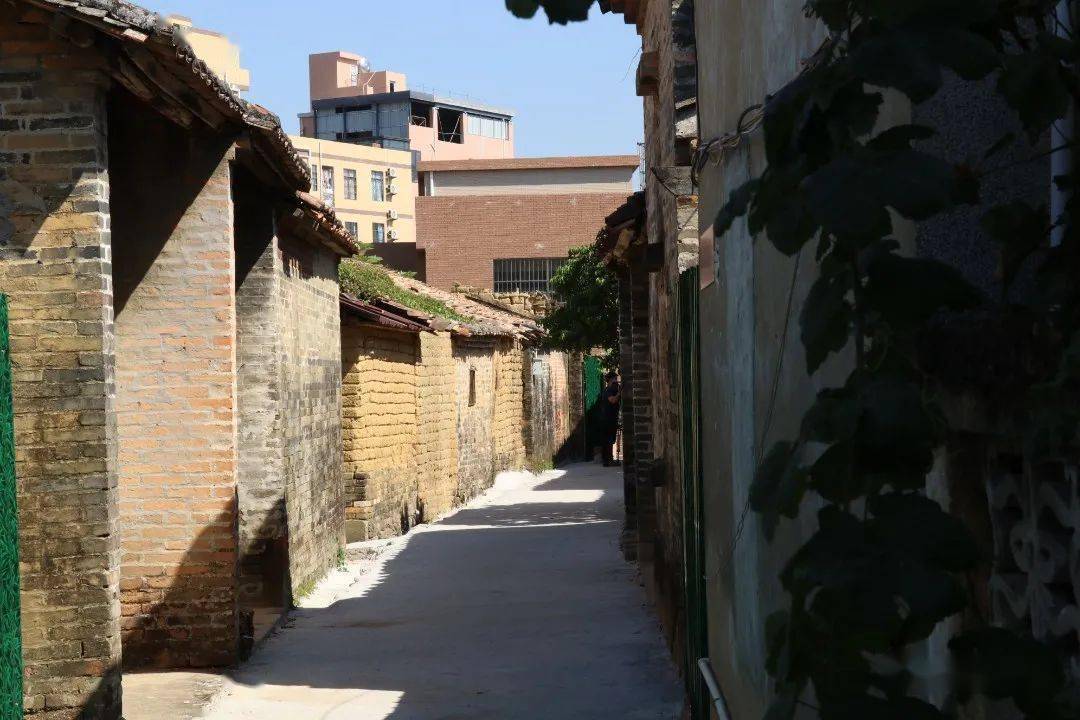 做足"绣花功夫"的工作思路,因地制宜打造"小菜园",犀牛陂村还按照为老