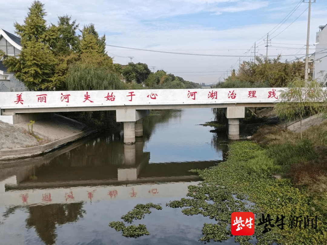 泰兴市河失镇同心村 举全村之力 推进美丽宜居整体村庄建设_殷群_中沟