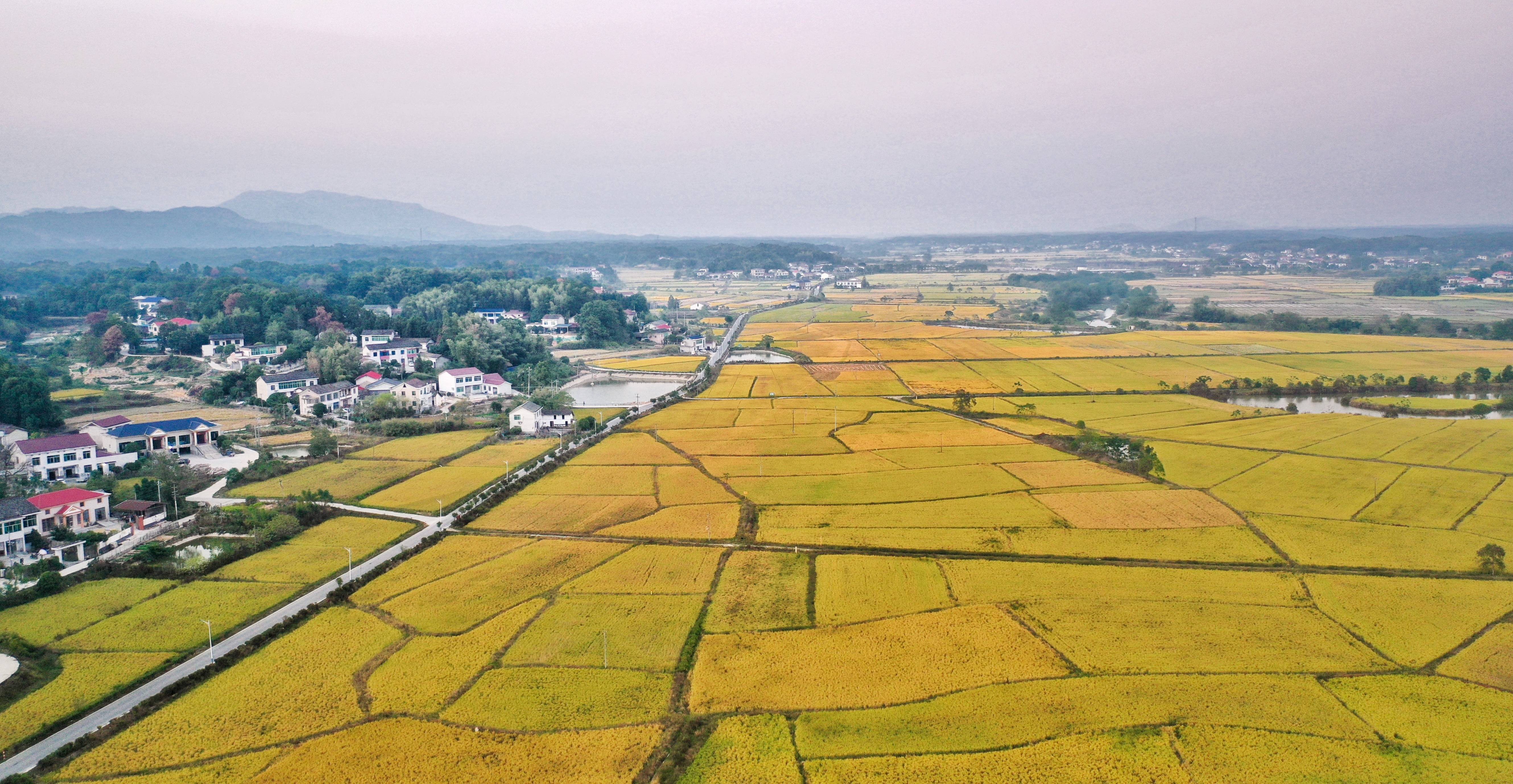 长沙县青山铺镇地图图片