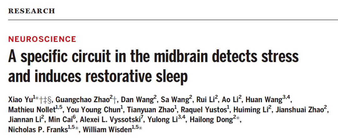 Science：压力会促进睡眠，从而缓解焦虑