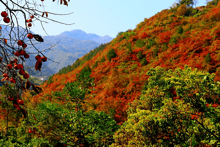 旬阳美景图片