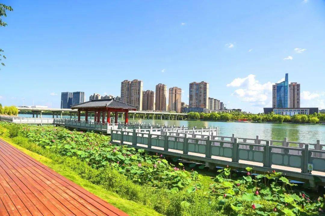 白云湖一湖两岸带状公园入选湖北省2022年"最美城市公园"_随州_生态