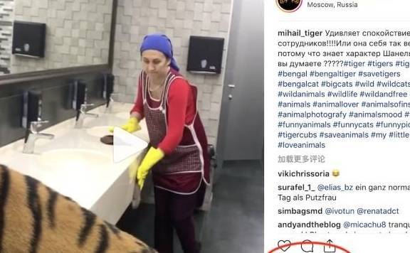  猛虎在水槽喝水，俄罗斯大妈在一旁淡定洗茅厕