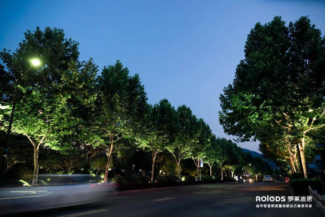 杭州西溪路夜景如此美,背后的秘密