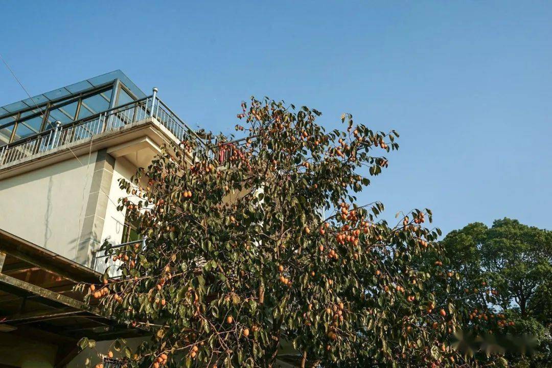 天主教堂及其它74青田:石门飞瀑 · 刘文成公祠74青田:石门山庄