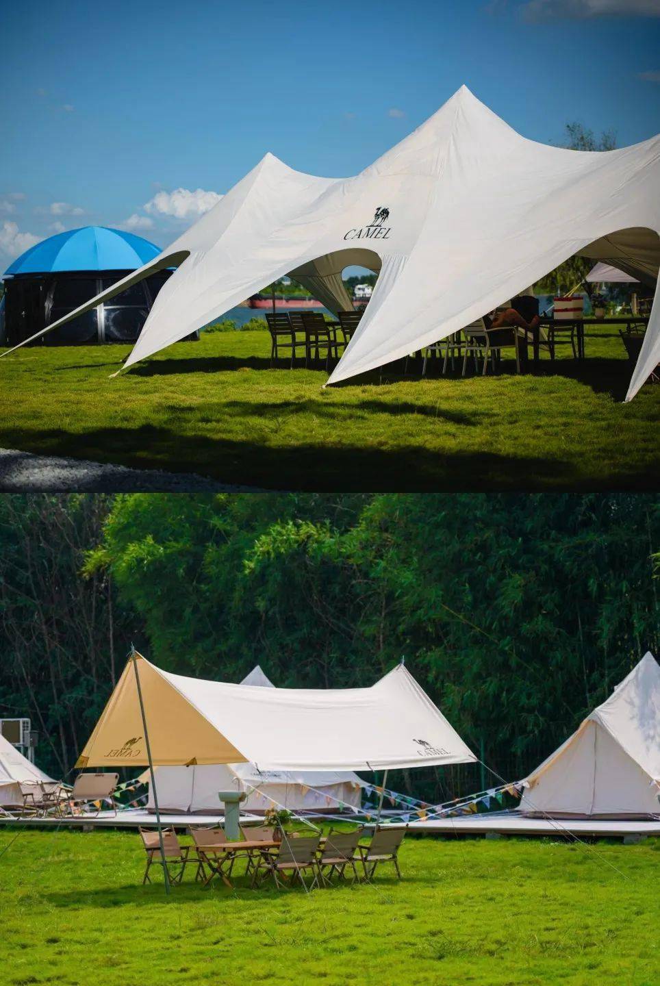 草坪露营,真人cs,水乡度假,森林拓展……佛山团建攻略