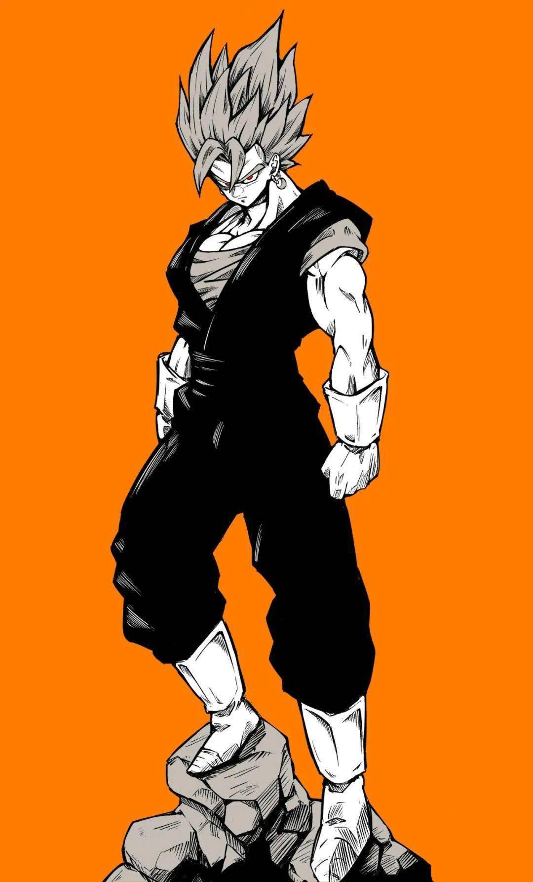 七龙珠壁纸:黑白赛亚人_手游_福利_区域