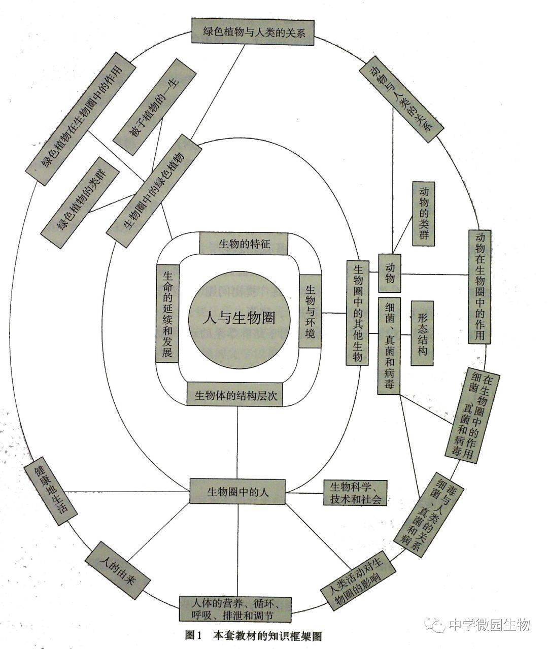 26張圖詮釋最全初中生物知識結構框架圖_技巧_初高中_資訊