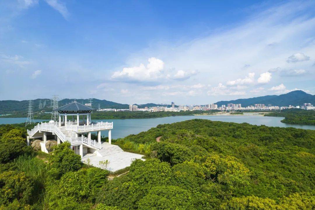 深圳_石岩街道_凤凰山