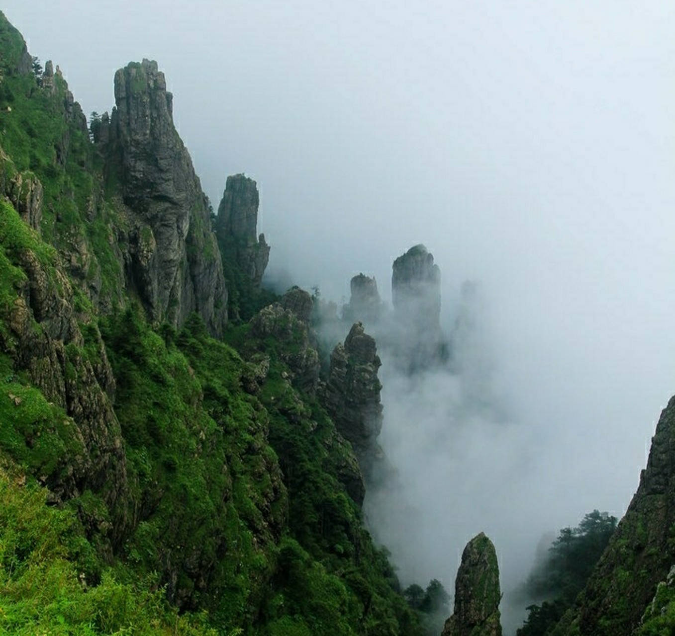 神農架驚現九頭鳥,長了九個腦袋,一農民自稱還見過五次,真的存在?