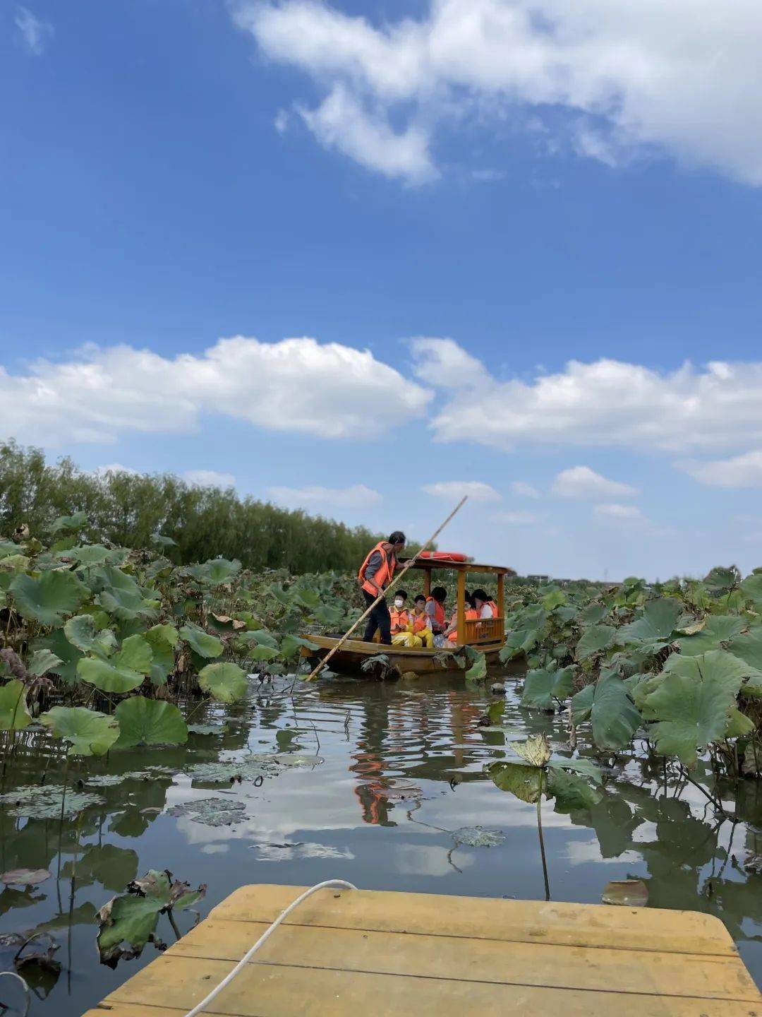 "荷尽已无擎雨盖,菊残犹有傲霜枝."乡野田间