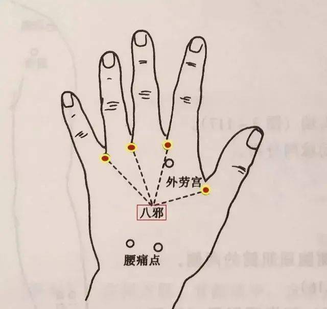 指关节疾病,手指麻木,就找八关穴,治疗中风后手足拘挛特效穴!