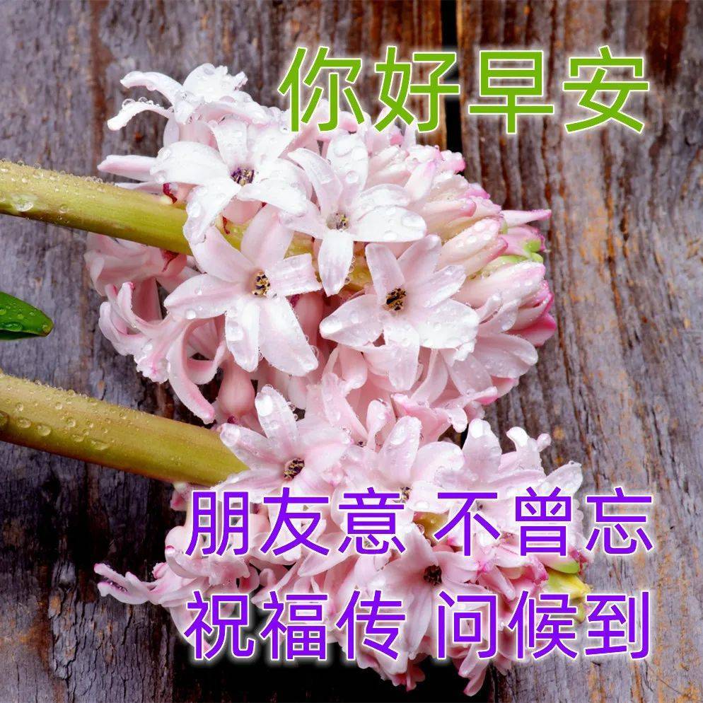 9张免打字早上好问候图片带字带祝福语 秋日清晨早安问候祝福语简短