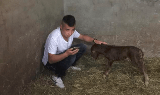 于谦有一个宠物乐园,名字叫天精地华宠物乐园,据说里面有着不少的珍禽