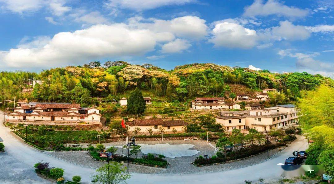 华安贡鸭山 | 摄影爱好者的观鸟天堂_鸟儿_生态_坑道