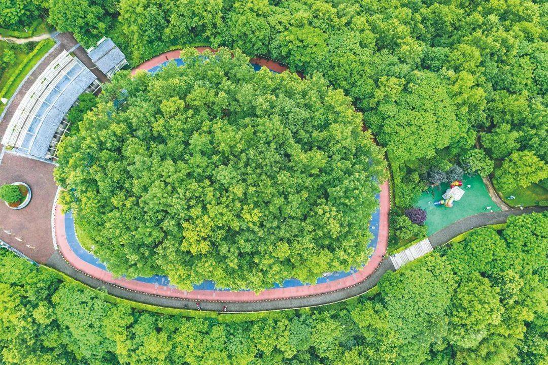 区文化旅游委:奋力谱写文旅体事业高质量发展新篇章_体育_建设_融合