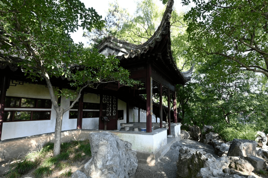 香迷糊了!秋天的桂花味儿为何来迟了?_木犀_品种_开花