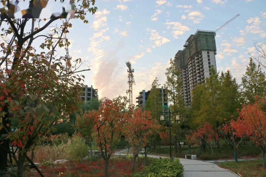 上蔡秋日的凤凰公园有多美,快收藏_毛开娣_凤凰公园_上蔡