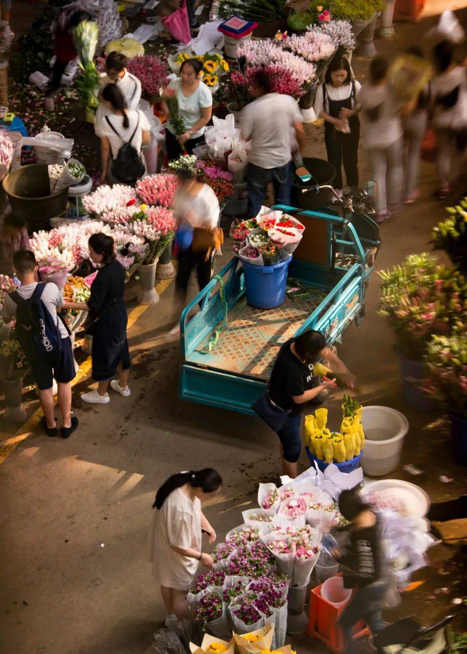 5座天气很“养人”的城市，冬暖夏凉，合适养老！争取都去一次！