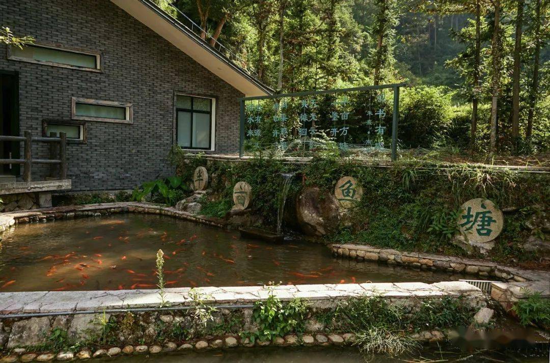 青田:中国田鱼村风貌_稻田_鄱阳_石雕