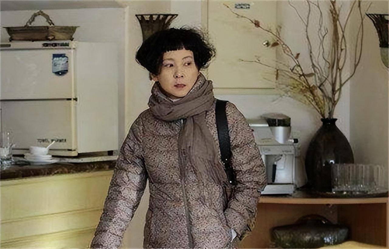 "晴雯"安雯:隐退23年,为救丈夫重回娱乐圈,9年还债1100万_安文_生活