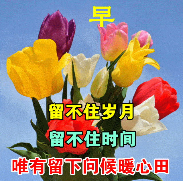 深秋最美的早安问候图片表情带字 朋友群发的漂亮的早上好表情图片