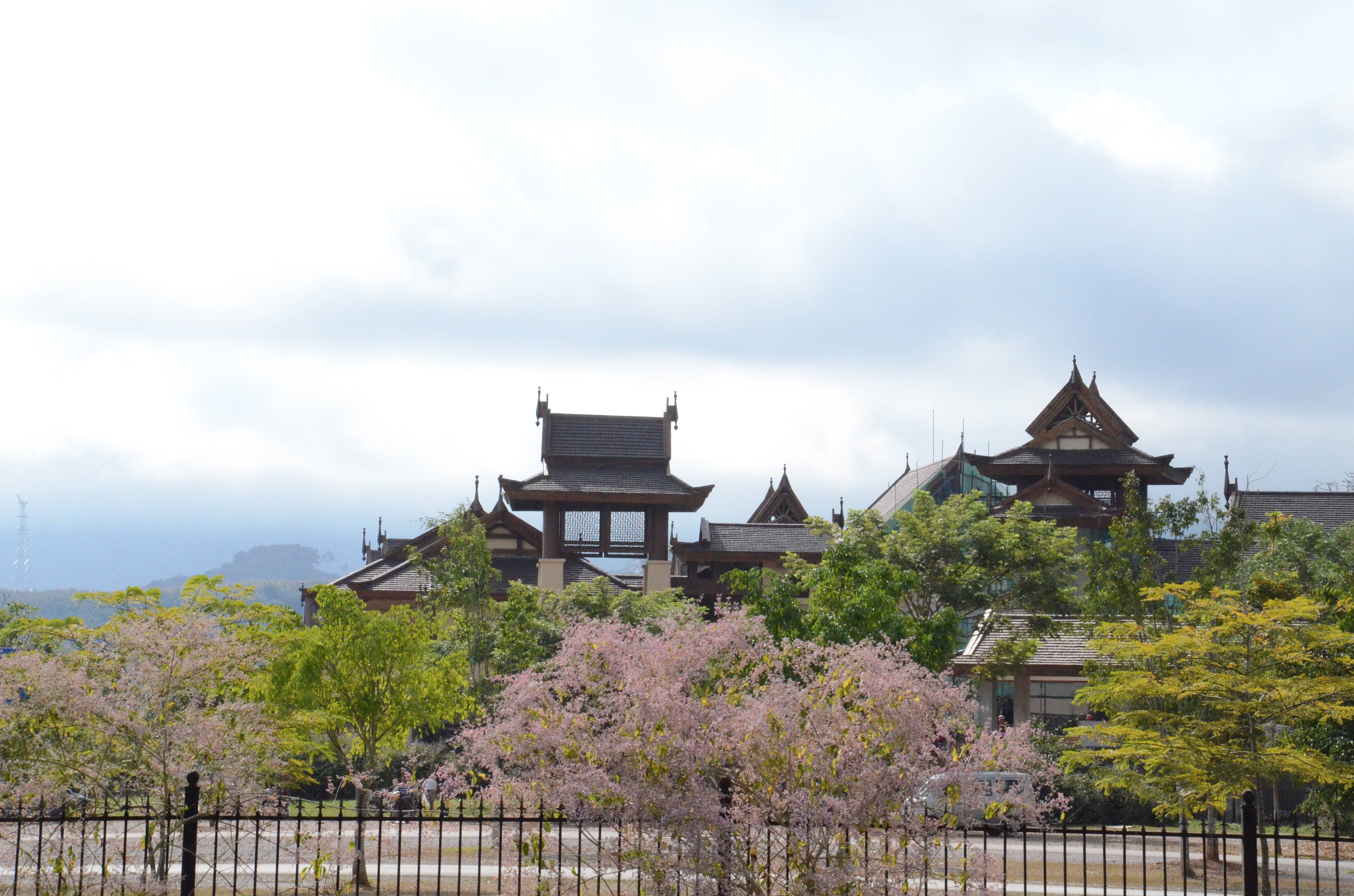 西双版纳勐仑大学城图片