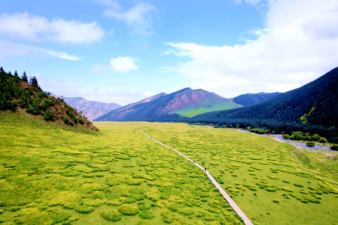 不越红线守青山 保护生态得金山——甘肃祁连山绿色发展纪实_整改