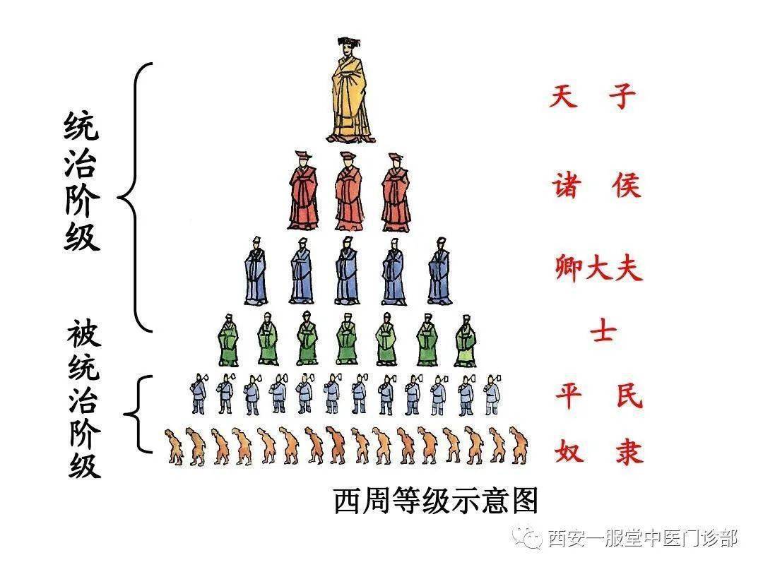 中医科普195:赵国秦国本是一家,两国同宗同族,拥有同一个祖先"飞廉"